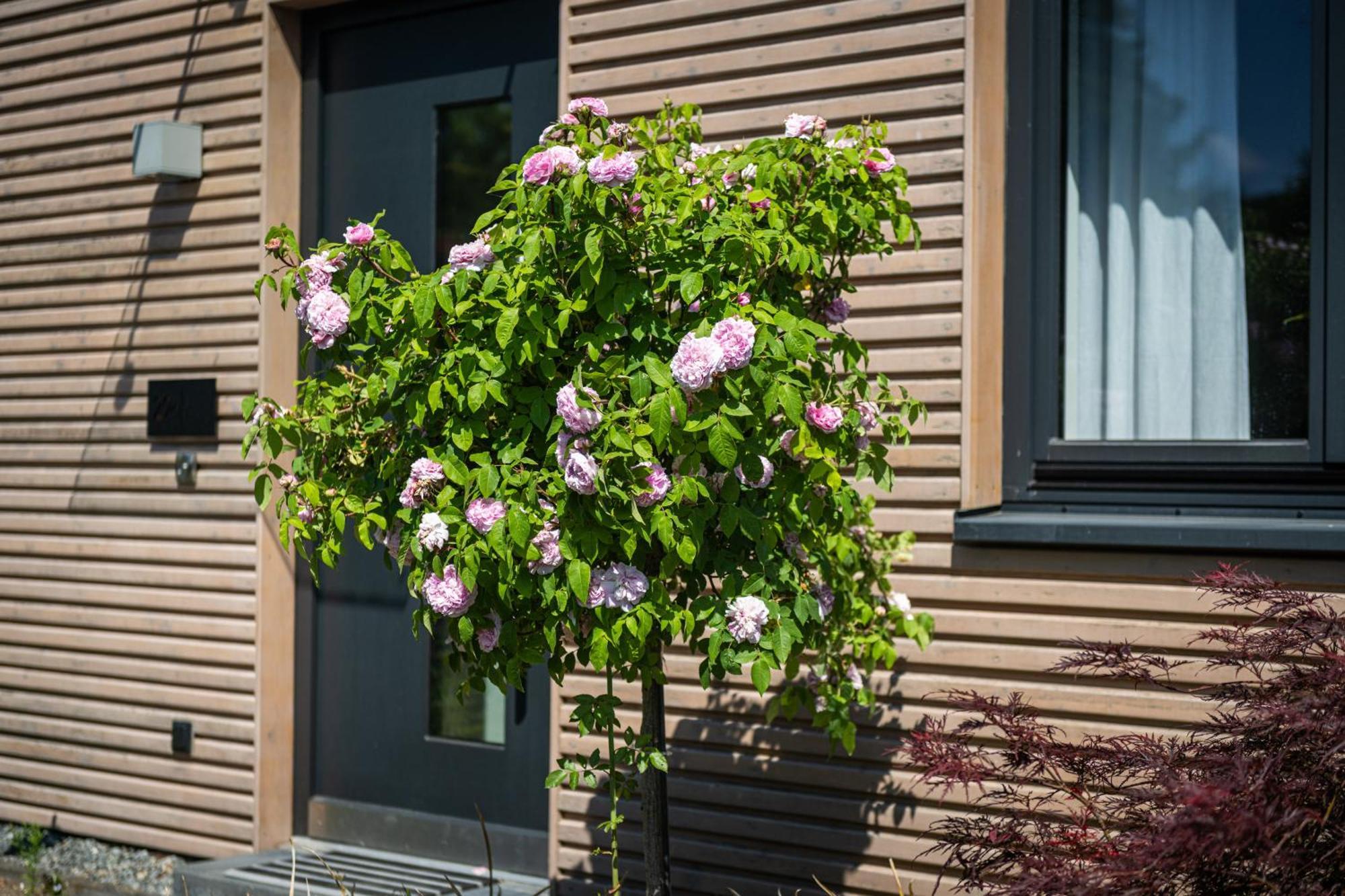 Deine Genuss-Auszeit Villa Asendorf Kültér fotó